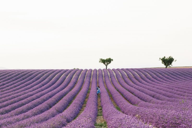 studio-a-q_engagement-in-provence_032