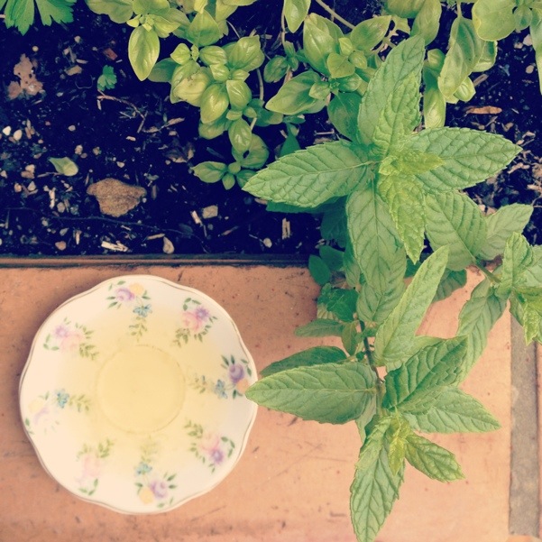 20130523-090602.jpg