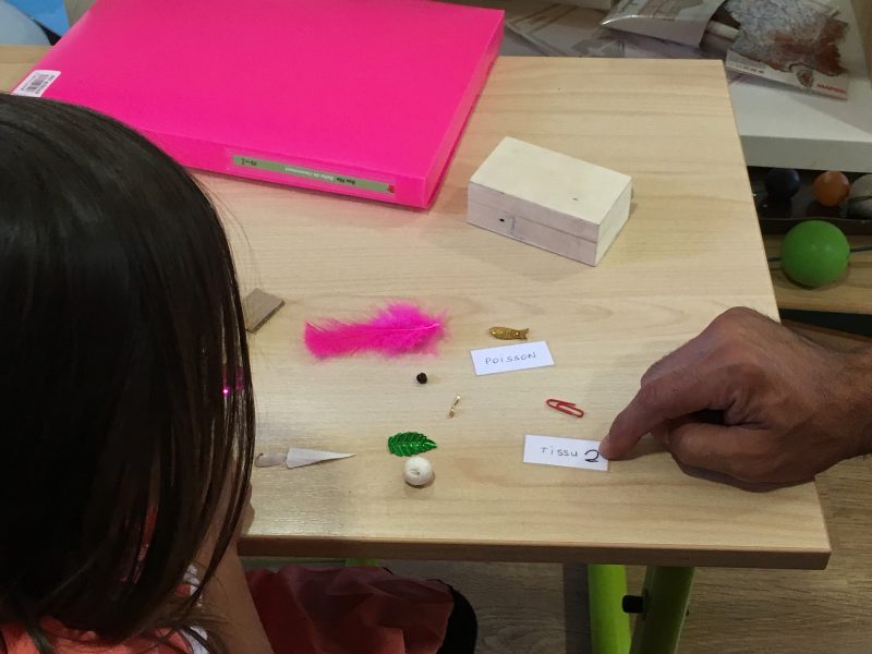 Montessori attività linguaggio
