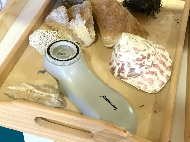 Attività Montessori