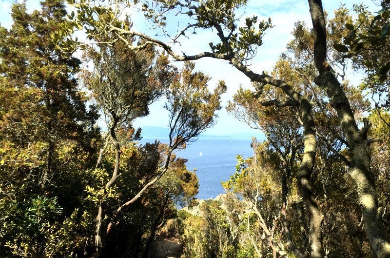 Port-Cros