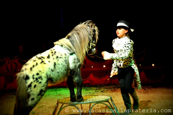 circo 1